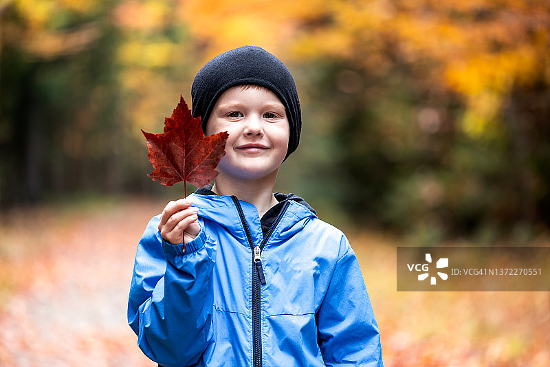 秋天，可爱的红发小男孩在Tremblant山国家公园远足和采摘秋叶图片素材