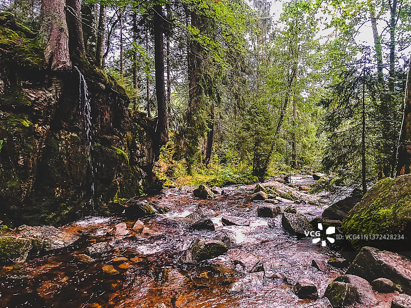 一条穿过德国黑森林的河流。图片素材