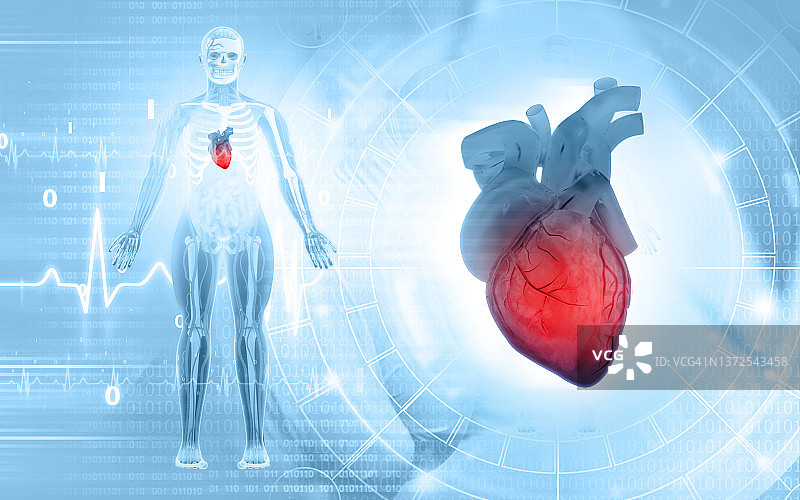人类心脏的医学背景图片素材