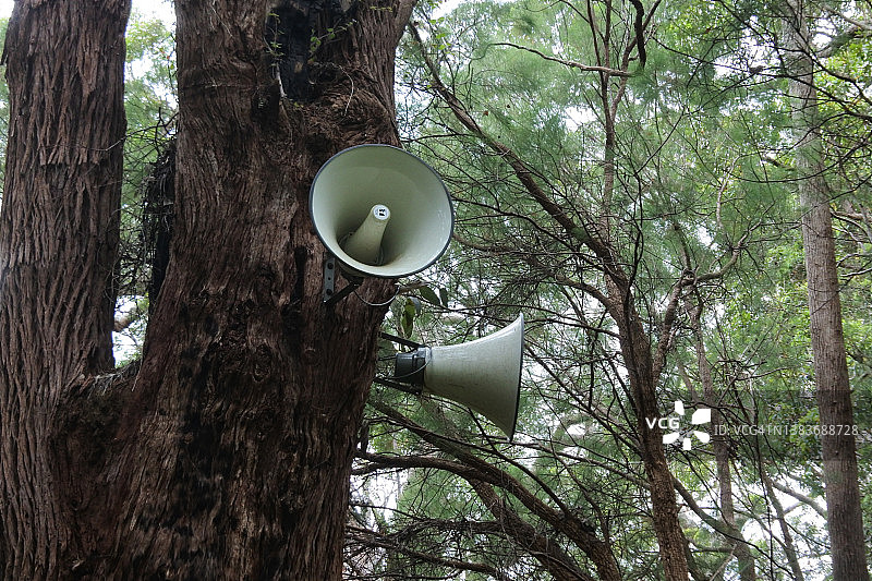 报警喇叭挂在森林里的一棵树上图片素材