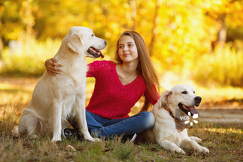 美丽的蓝眼睛少女与她最喜欢的拉布拉多狗在秋天的公园图片素材