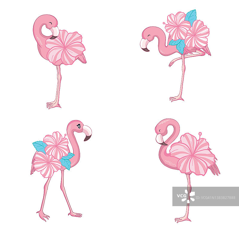 粉红色火烈鸟矢量卡通平面集。图片素材
