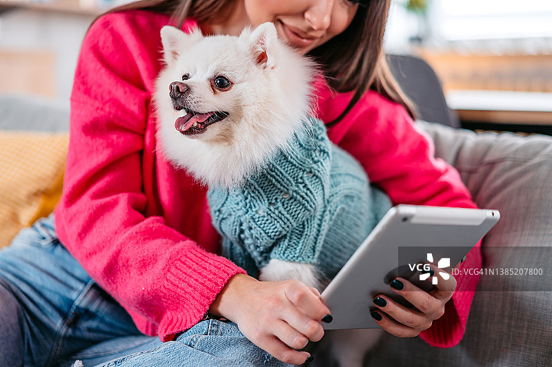 带着狗的年轻女子在平板电脑上查看社交媒体图片素材