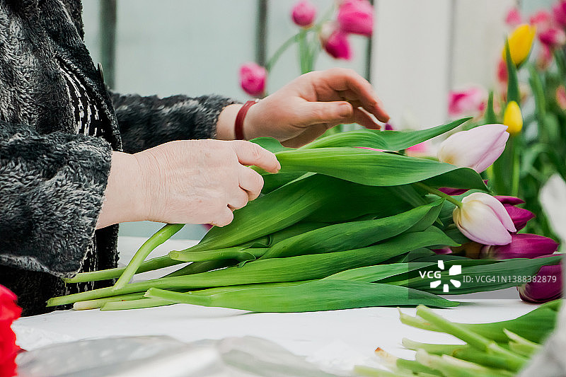 女花商正在制作新鲜郁金香花束。手捧春花。图片素材