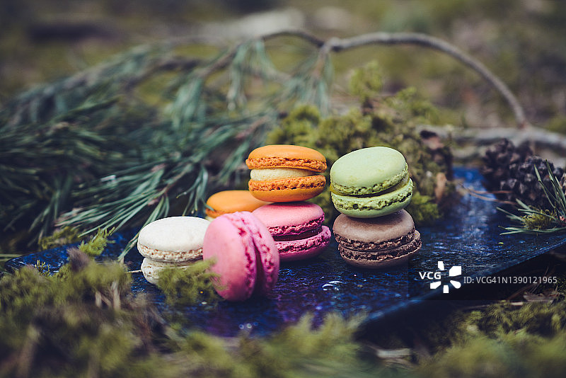 五颜六色的马卡龙饼干和巧克力糖果，森林野餐图片素材