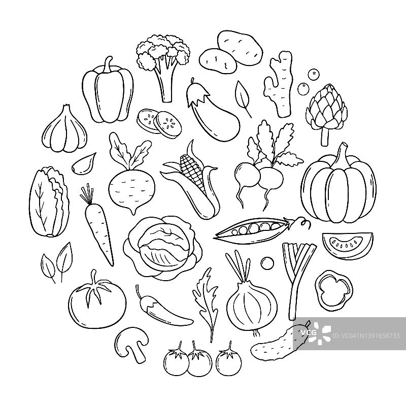 手绘一套蔬菜，画成圆形。胡萝卜，萝卜，沙拉，黄瓜，卷心菜。矢量插图隔离在白色背景上。图片素材