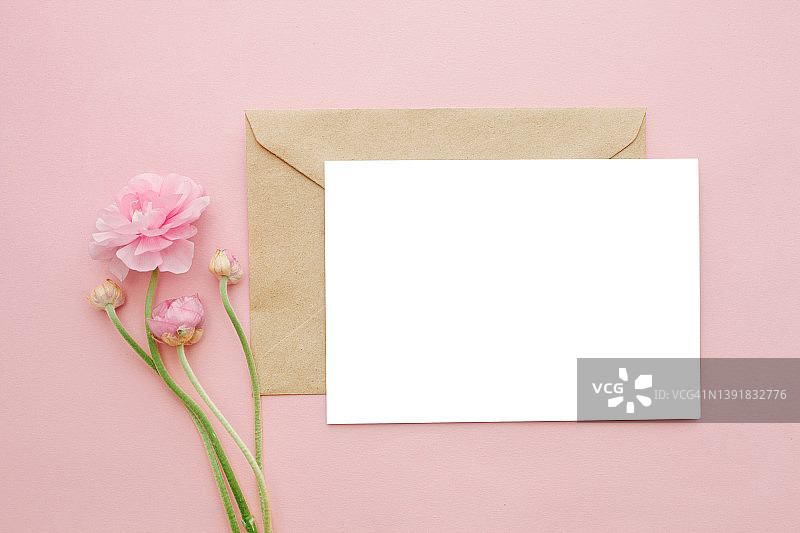 粉红色的毛茛花，树枝上有白色的春天花，信封上有粉红色背景的白色卡片图片素材