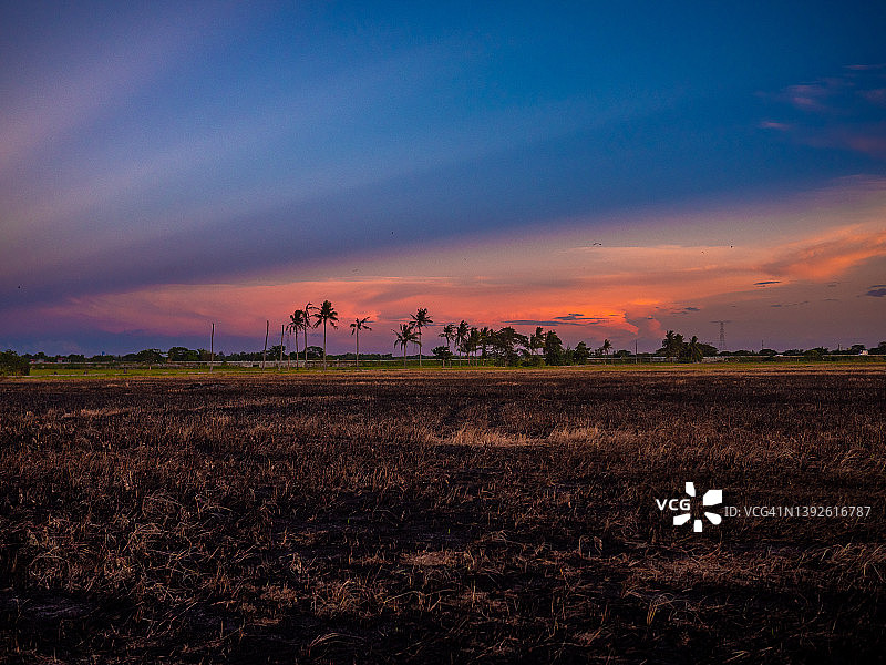 燃烧的稻田的日落，普利兰，布拉干，菲律宾图片素材