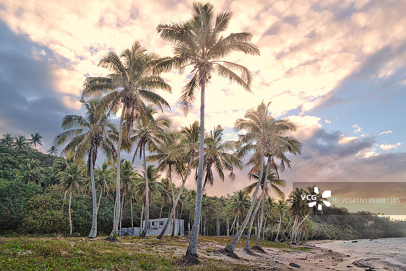 瓦瓦乌被棕榈树环绕的海滩图片素材