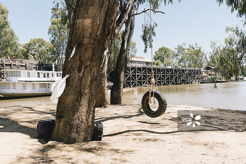 提尔在澳大利亚埃丘卡的墨累河沿岸的一棵桉树上挥舞着双手图片素材