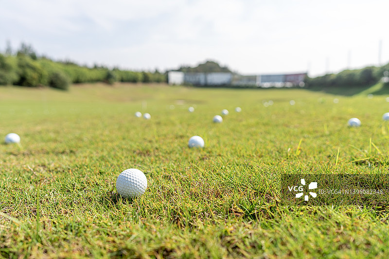 高尔夫球散落在草地上图片素材