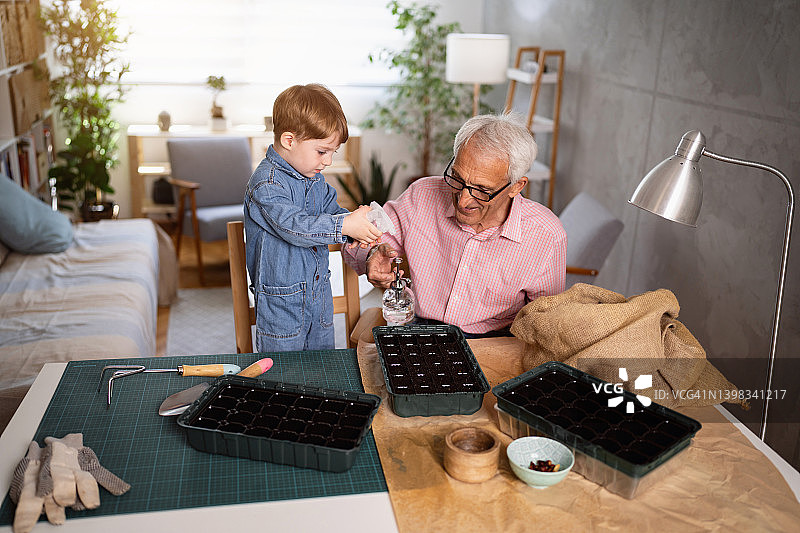 爷爷和孙子一起照顾盆栽图片素材