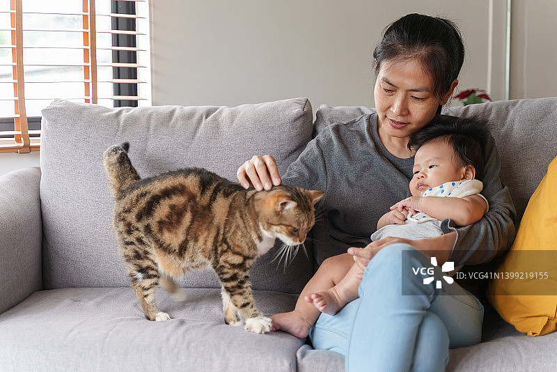 年轻的亚洲妈妈和可爱的小男孩在家里玩猫。图片素材