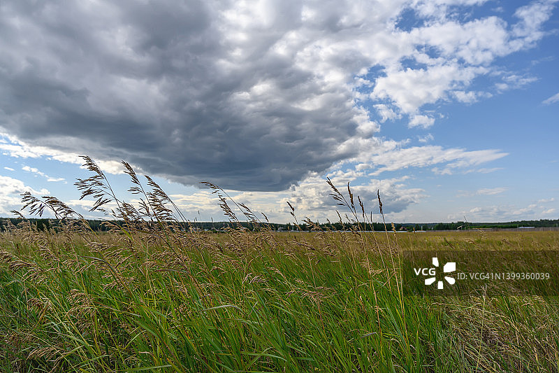 绿色的草地和高高的草在浮雕灰色的云的背景下。俄罗斯乌拉尔图片素材