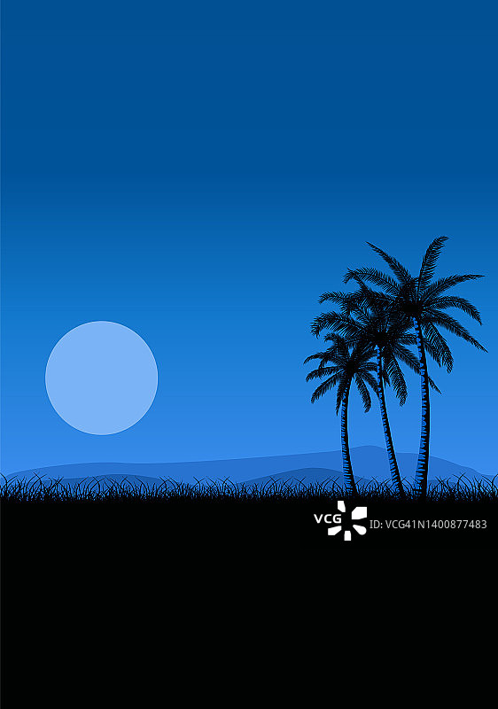 夏季热带日落日出与海滩棕榈树图片素材
