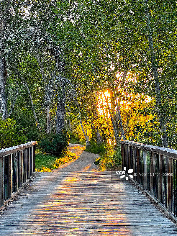爱达荷州博伊西的博伊西河绿地步道图片素材