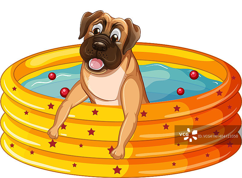 可爱的小狗狗在橡胶游泳池里图片素材