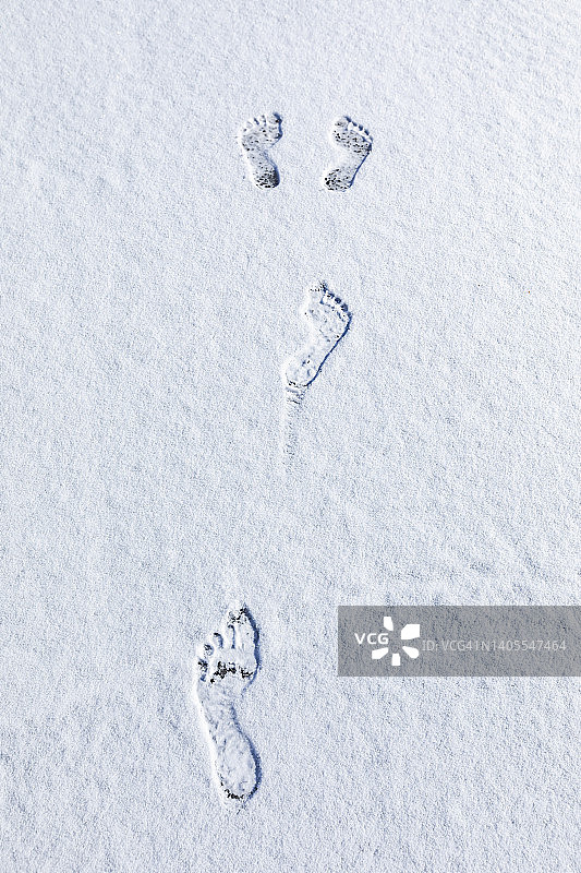 刚下过雪的光秃秃的脚印图片素材