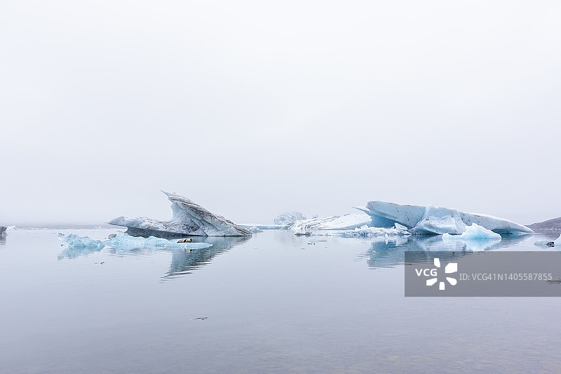 冰川泻湖在Jokulsarlon，一只海豹坐在冰上图片素材