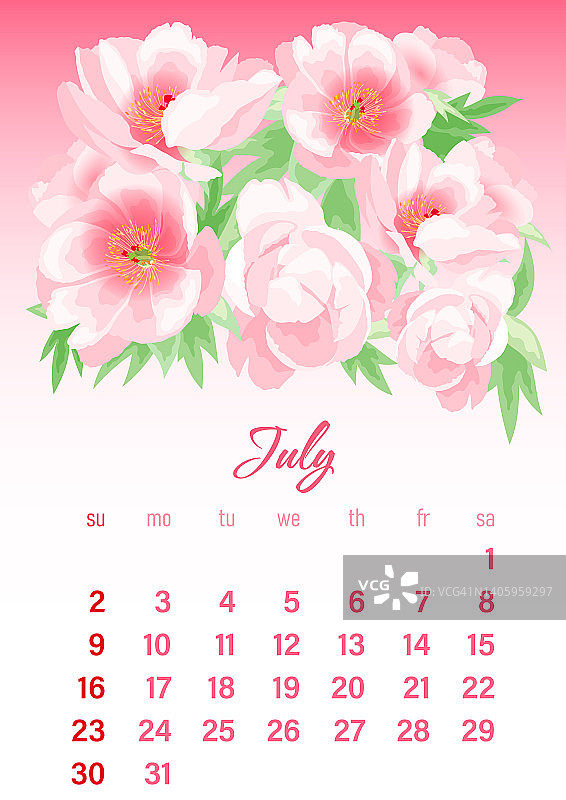 2023年7月，白粉色渐变背景上的牡丹日历图片素材
