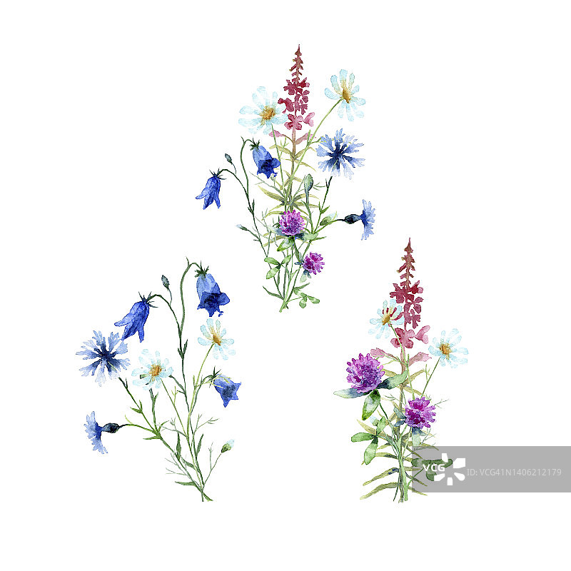 水彩花束洋甘菊，蓝铃花，粉红色杂草，矢车菊，红三叶草孤立在白色背景。图片素材