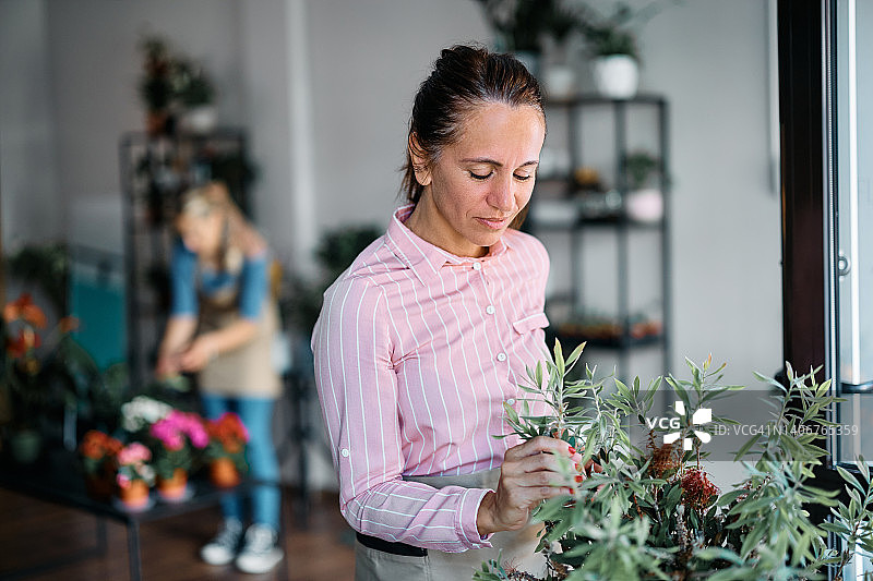 成熟的花匠照顾植物在她的商店。图片素材