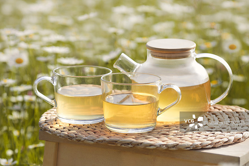 甘菊凉茶在透明茶壶和两个玻璃杯在桌上花田背景图片素材