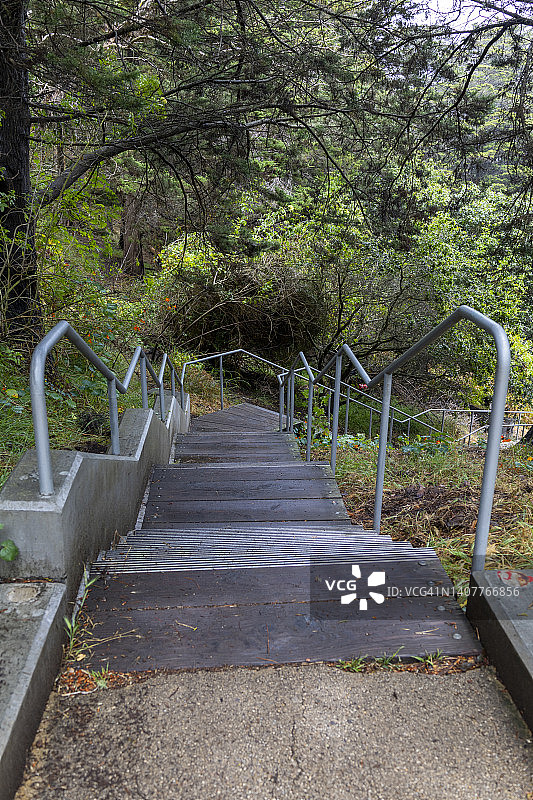 郁郁葱葱的公园里的楼梯图片素材