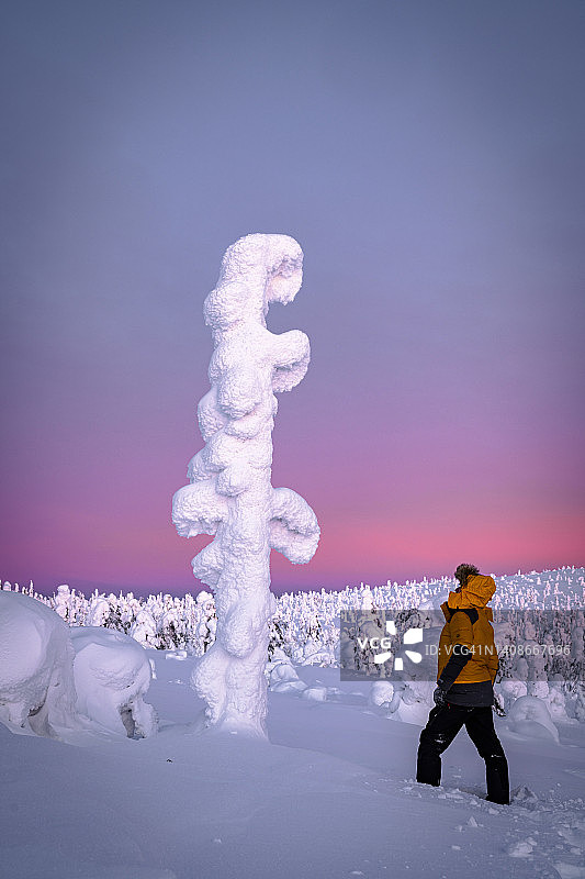 一个人在黎明时分看冰雕，拉普兰图片素材