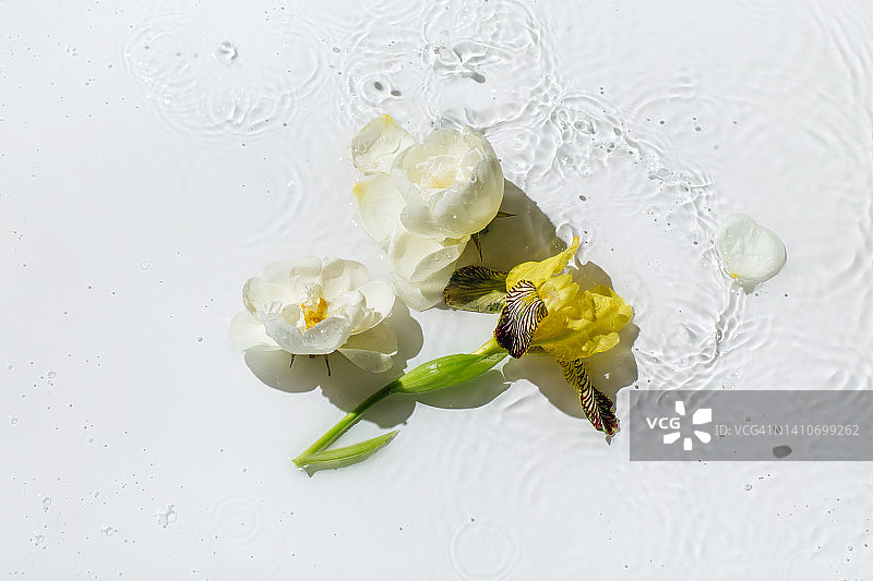 白色的水面上漂浮着白色和黄色的花朵，激起涟漪，溅起水花，冒起泡沫。夏天最小的自然背景图片素材