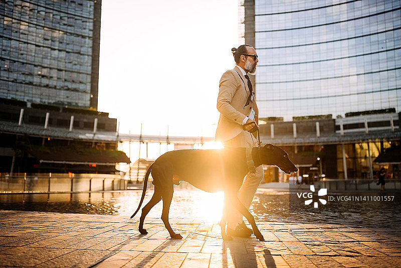 优雅的高级男子带着他的狗在市中心散步图片素材