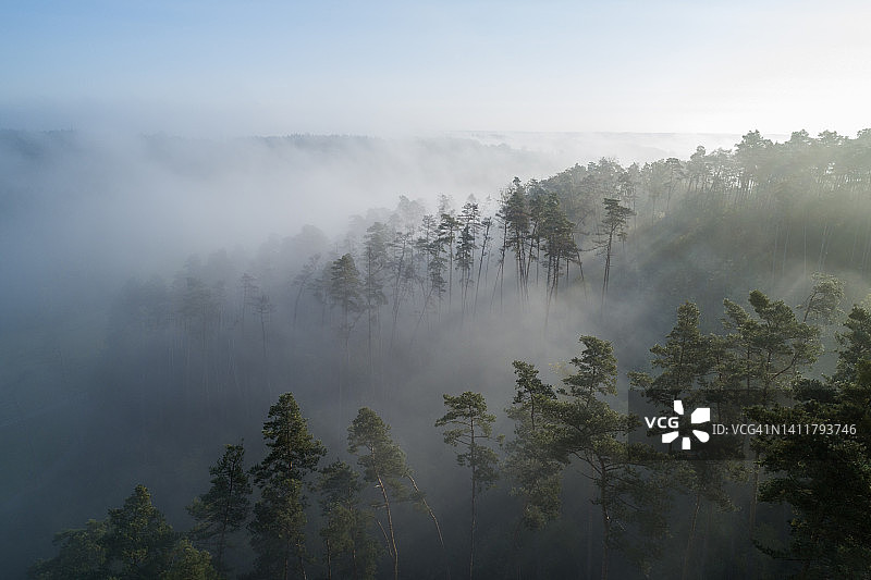 秋天，有雾的森林鸟瞰图。法兰克尼亚,巴伐利亚,德国。图片素材