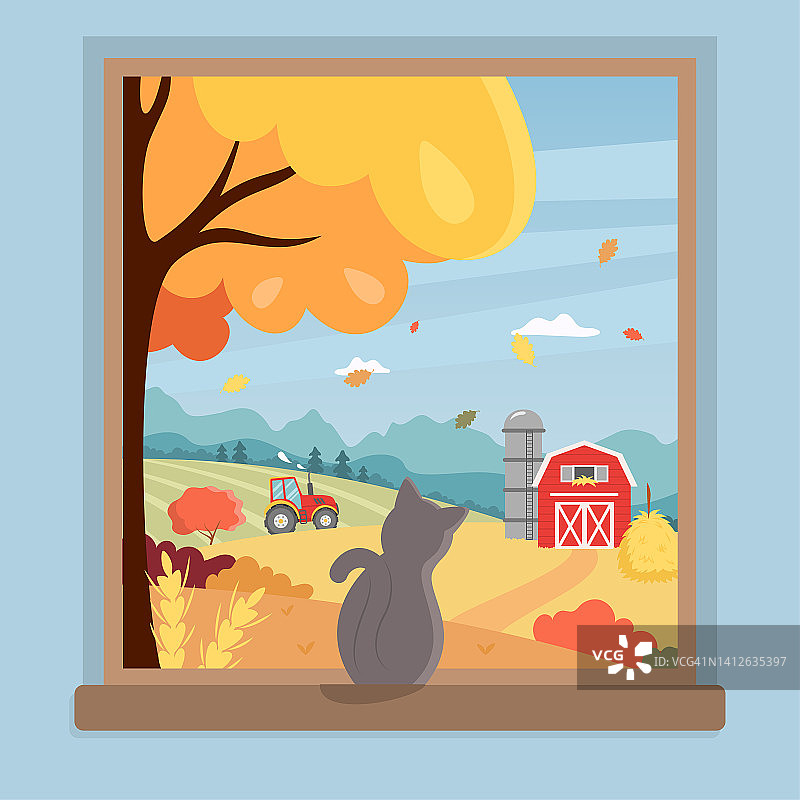 窗带猫与秋野景观图片素材