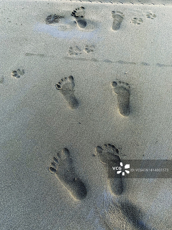 完整帧的人类脚印在沙滩上图片素材