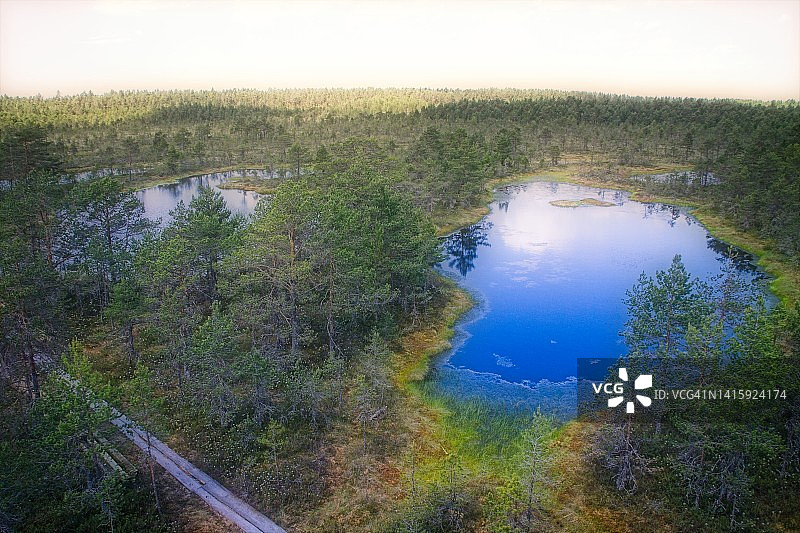风景优美的沼泽地,North-Estonia图片素材