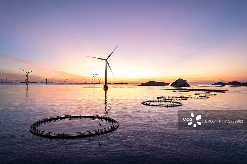 海鱼养殖场和日出时的风力涡轮机图片素材