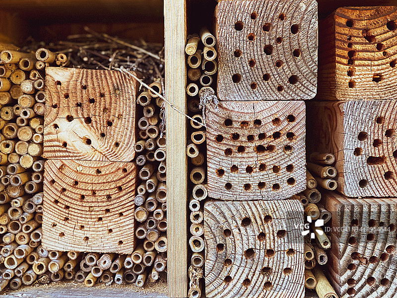 舒适的户外木制昆虫酒店图片素材