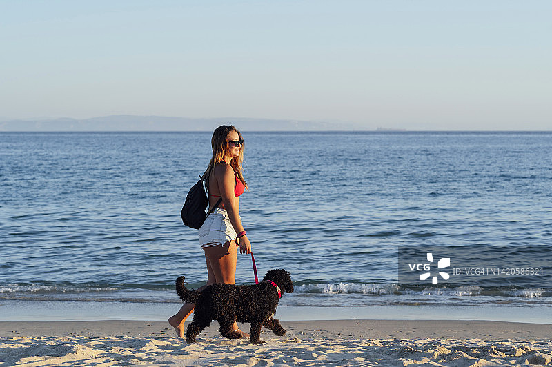 穿着比基尼的年轻女子在沙滩上遛狗图片素材