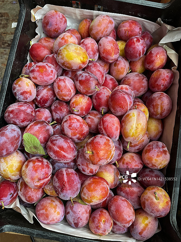 新鲜农产品市场成堆的成熟维多利亚李子(Prunus domestica 'Victoria')在纸箱中，升高的观点图片素材