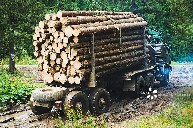 伐木车在森林里伐木或伐木图片素材