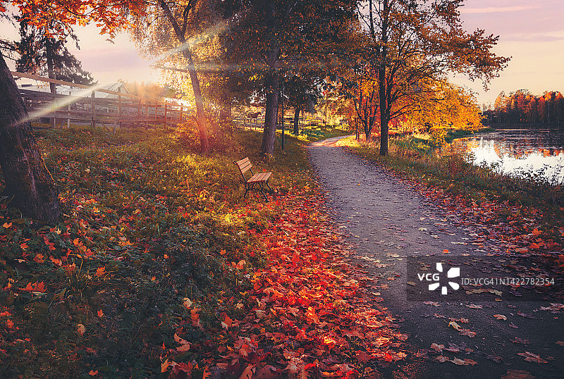 木凳和绿树成荫的大道，阳光照亮了树叶。秋天日出场景。Hameenlinna,芬兰。欧洲图片素材