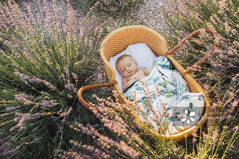公园里，新生的婴儿躺在柳条摇篮里。图片素材