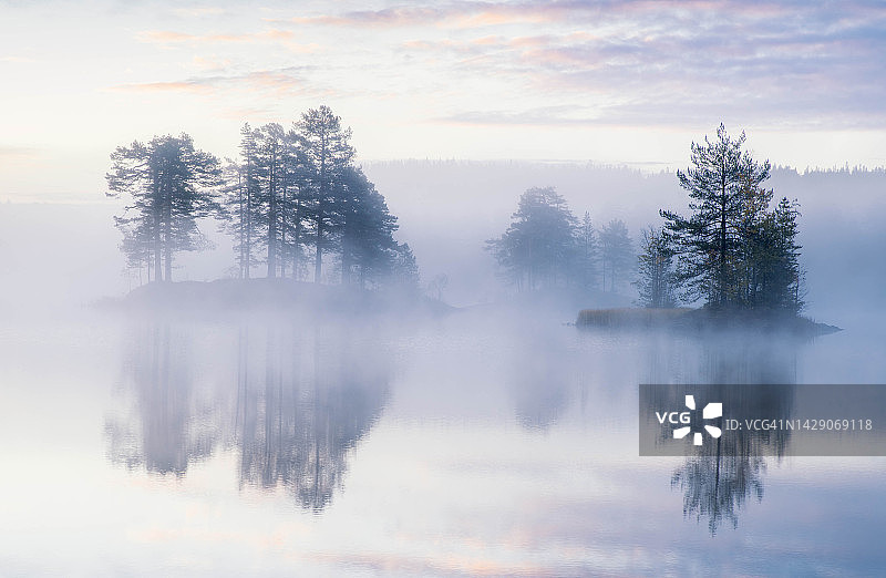 森林湖笼罩在晨雾中图片素材