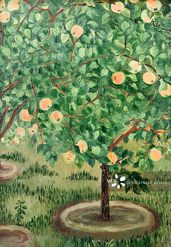 夏日果园里的苹果树上画油画图片素材