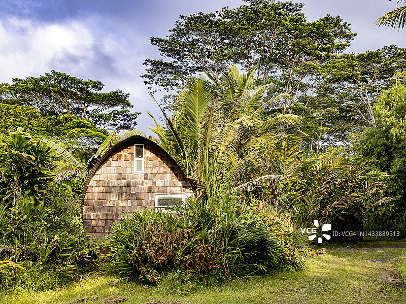 夏威夷大岛的热带雨林中出租的圆形小屋或桑拿桶图片素材