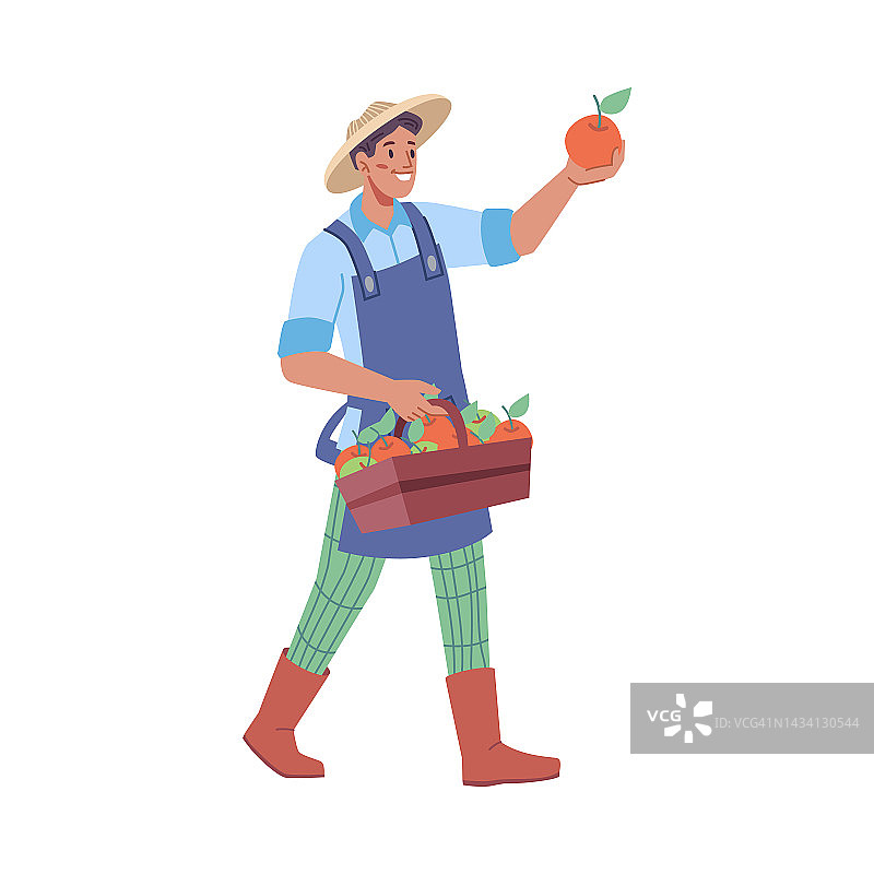 耕作和收获的季节，孤立的农民带着一篮子成熟的苹果。种植天然有机水果出售。平面卡通人物，平面风格的矢量图片素材