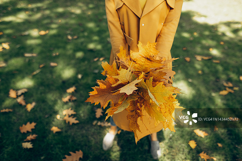 女人手中的一束秋叶。图片素材