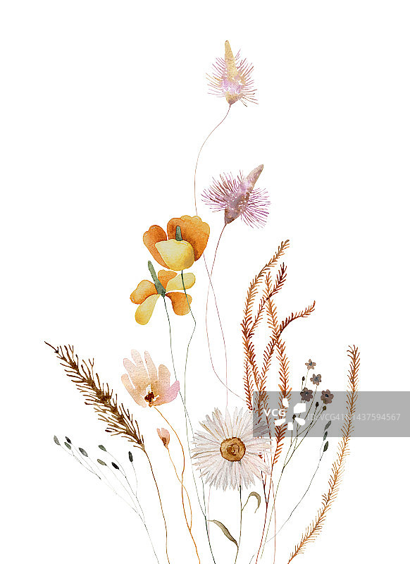 水彩野花插图图片素材