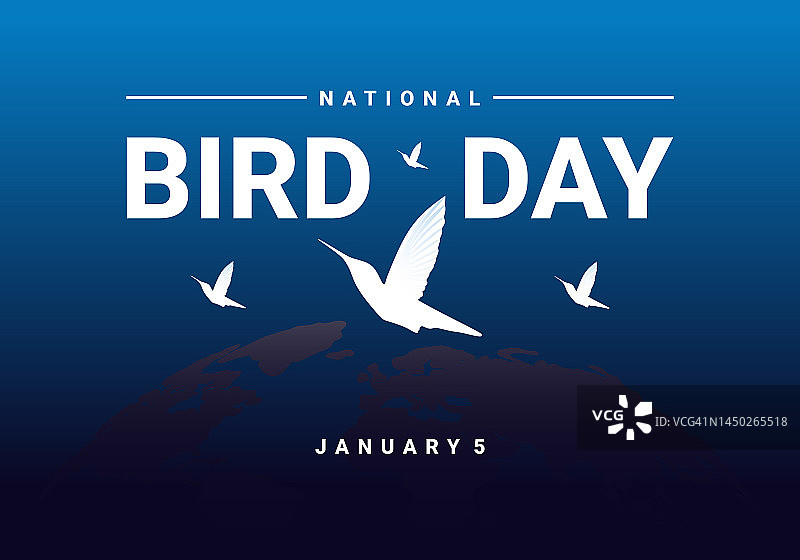 1月5日庆祝国家鸟类日。图片素材