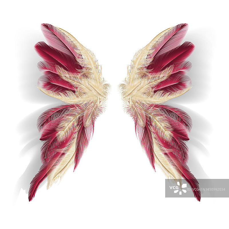 蝴蝶的翅膀和羽毛。现代抽象艺术金色和Viva品红色羽毛。矢量插图。图片素材